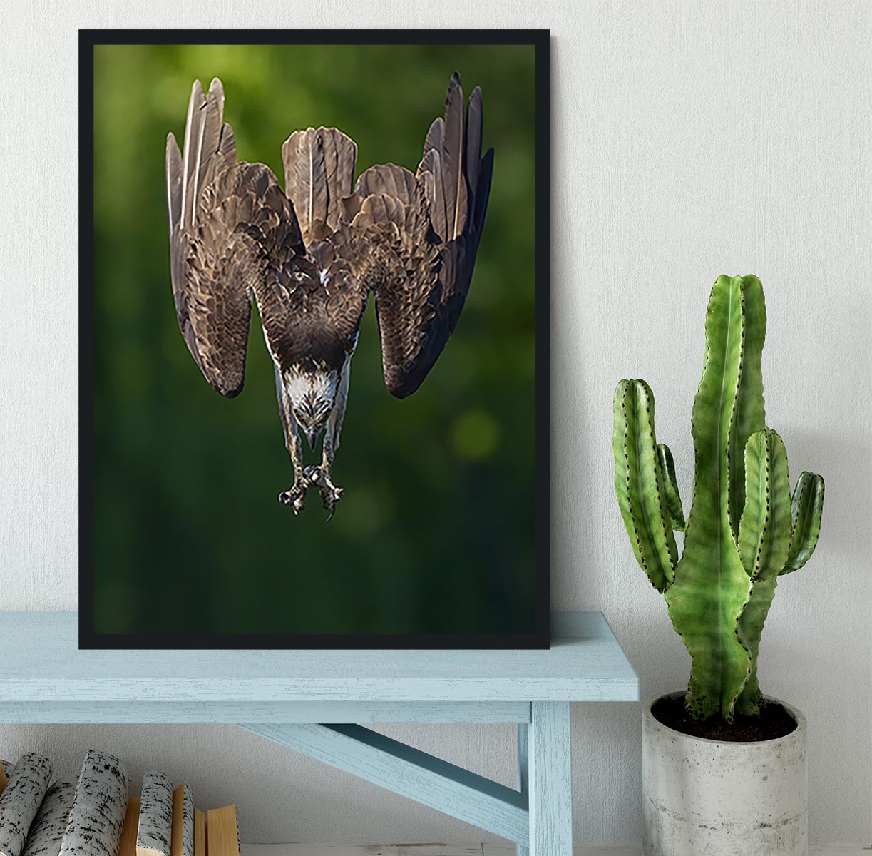 An Eagle Preparing To Attack Framed Print - Canvas Art Rocks - 2