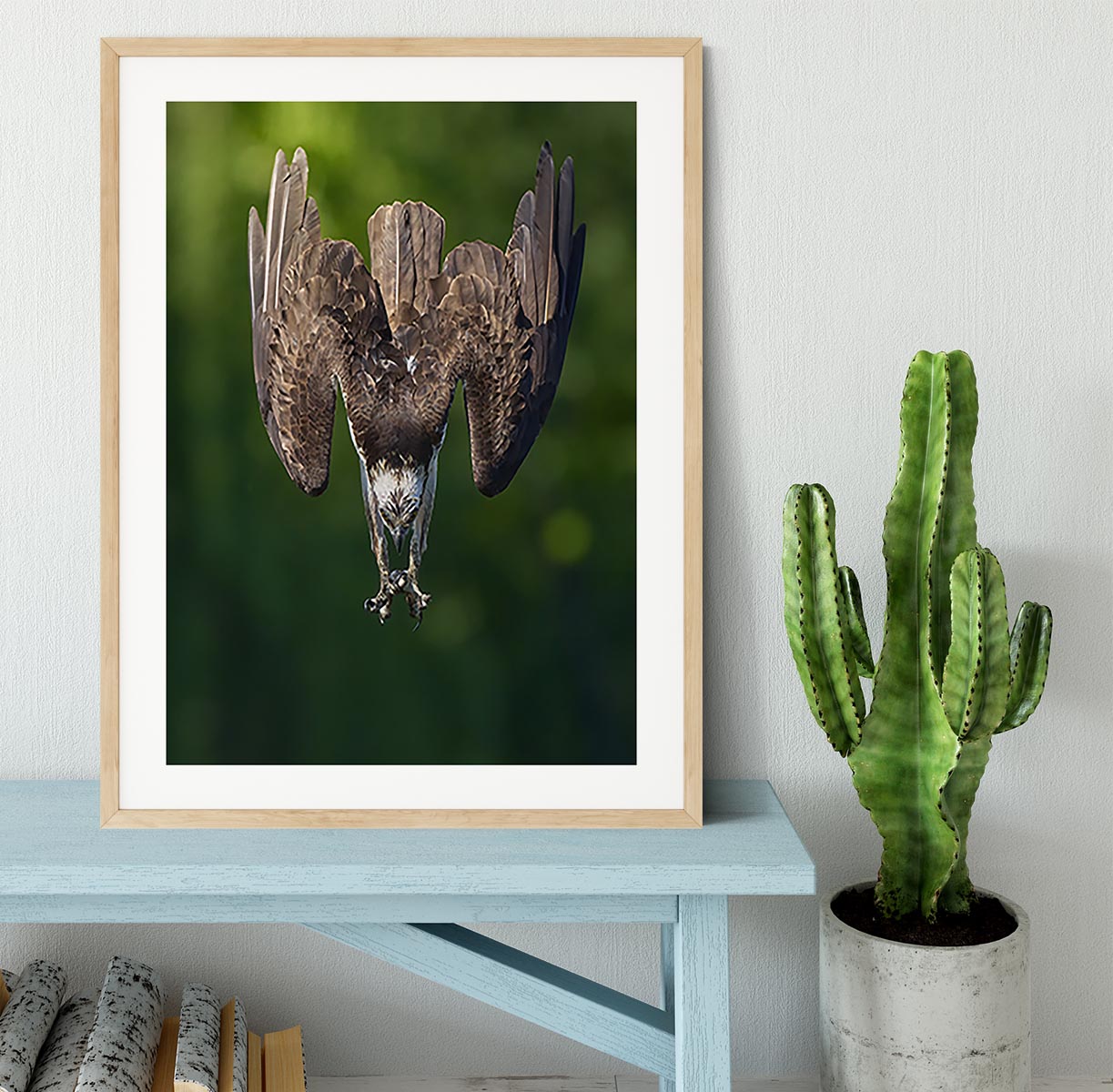 An Eagle Preparing To Attack Framed Print - Canvas Art Rocks - 3