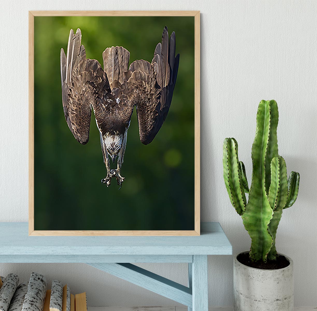 An Eagle Preparing To Attack Framed Print - Canvas Art Rocks - 4