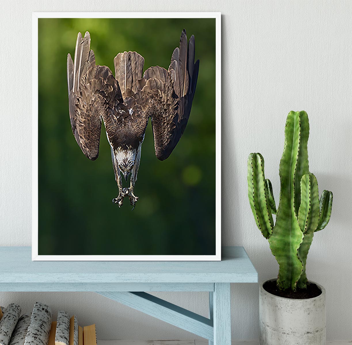 An Eagle Preparing To Attack Framed Print - Canvas Art Rocks -6