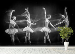 A Ballerinas Path Wall Mural Wallpaper - Canvas Art Rocks - 4