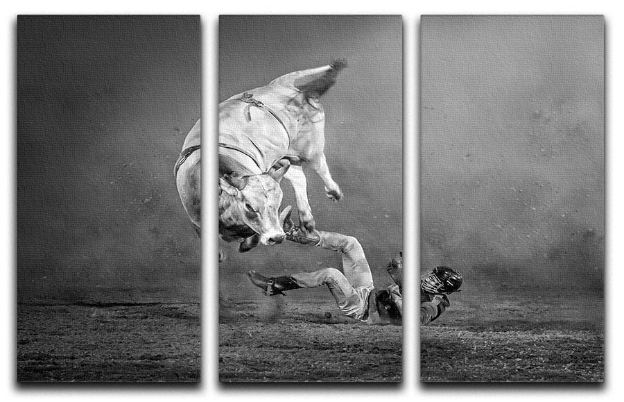 Rodeo Bull 3 Split Panel Canvas Print - Canvas Art Rocks - 1