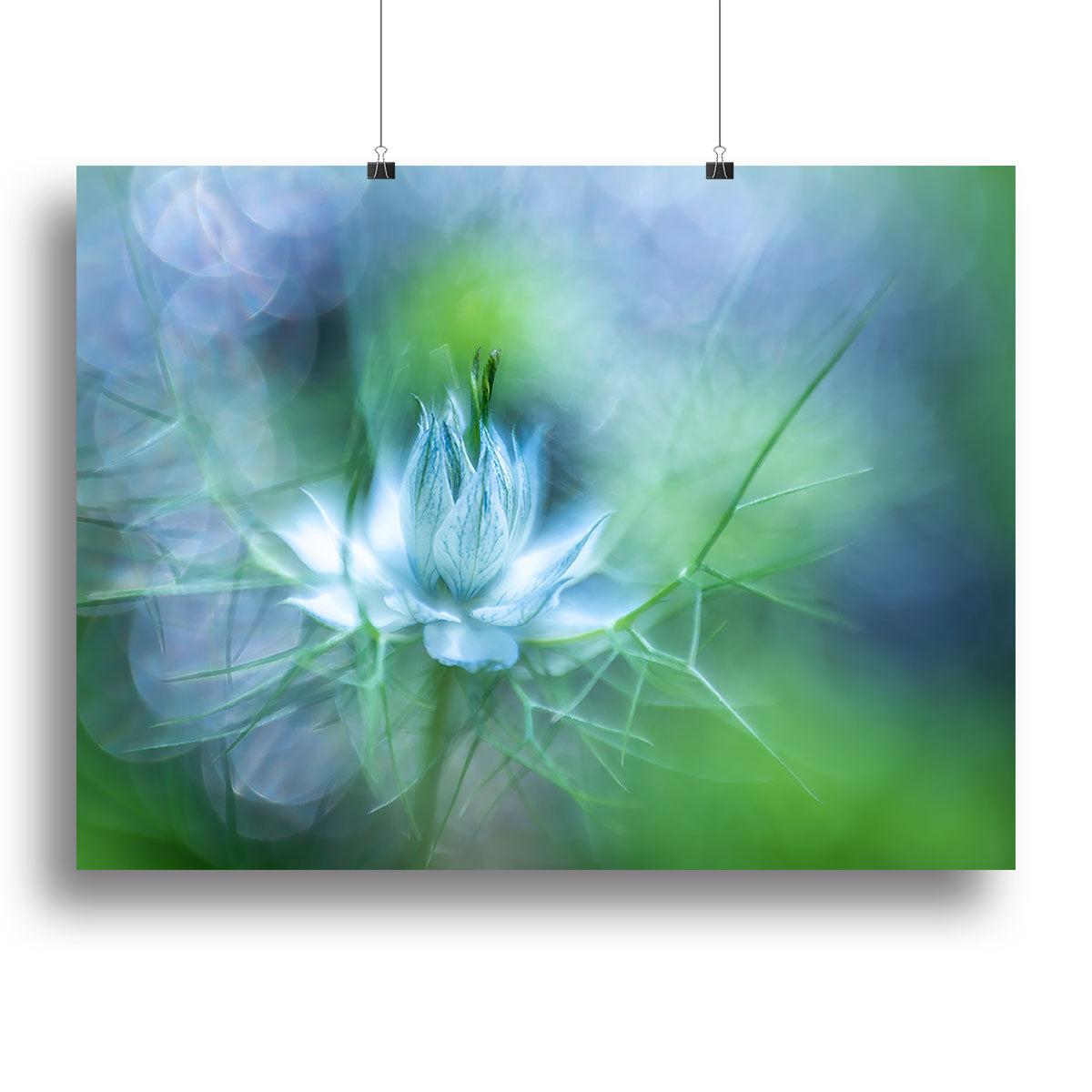 Blue Flower Canvas Print or Poster - Canvas Art Rocks - 2
