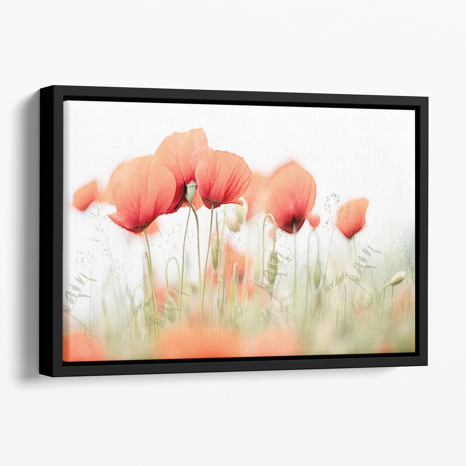 Poppies On A Summer Day Floating Framed Canvas - Canvas Art Rocks - 1