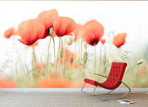 Poppies On A Summer Day Wall Mural Wallpaper - Canvas Art Rocks - 2