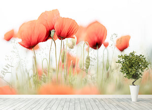 Poppies On A Summer Day Wall Mural Wallpaper - Canvas Art Rocks - 4