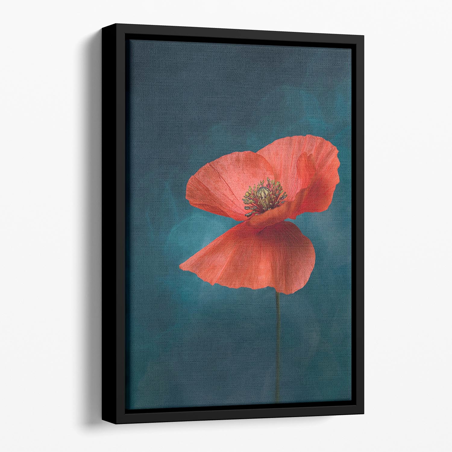 A Single Red Flower Floating Framed Canvas - Canvas Art Rocks - 1