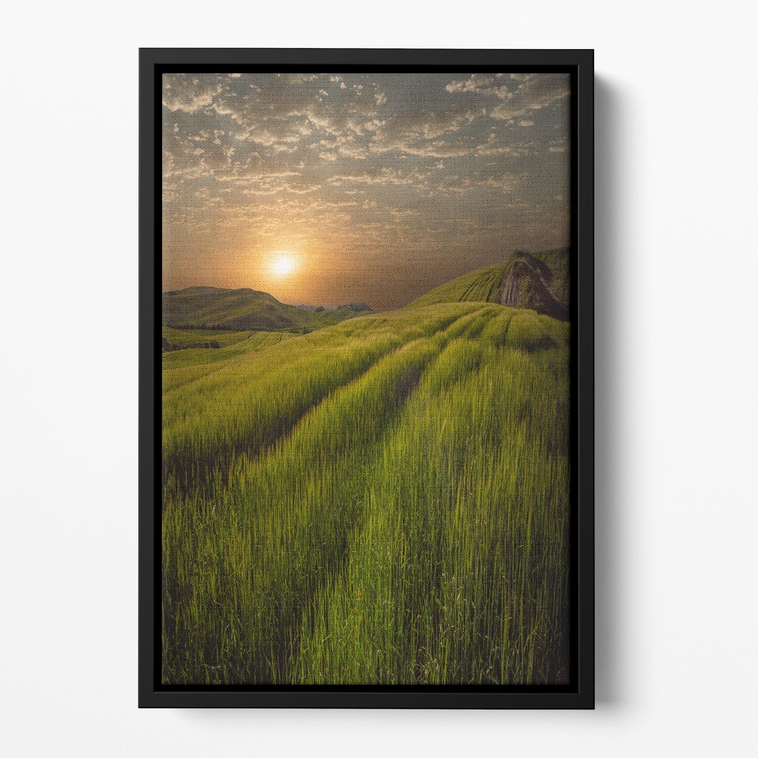 Sunset Over The Fields Floating Framed Canvas - Canvas Art Rocks - 2