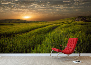 Sunset Over The Fields Wall Mural Wallpaper - Canvas Art Rocks - 2