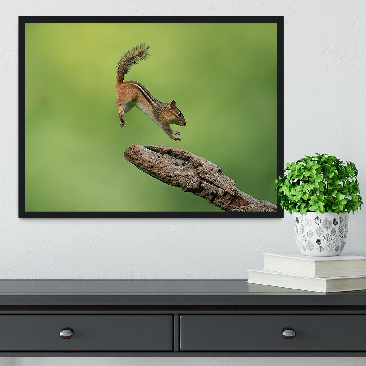 Squirell Leaping Framed Print - Canvas Art Rocks - 2