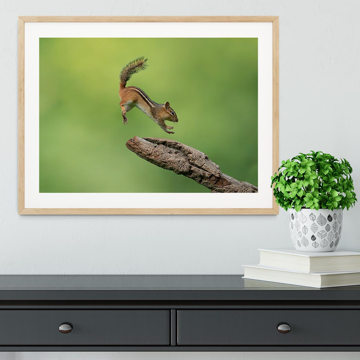 Squirell Leaping Framed Print - Canvas Art Rocks - 3