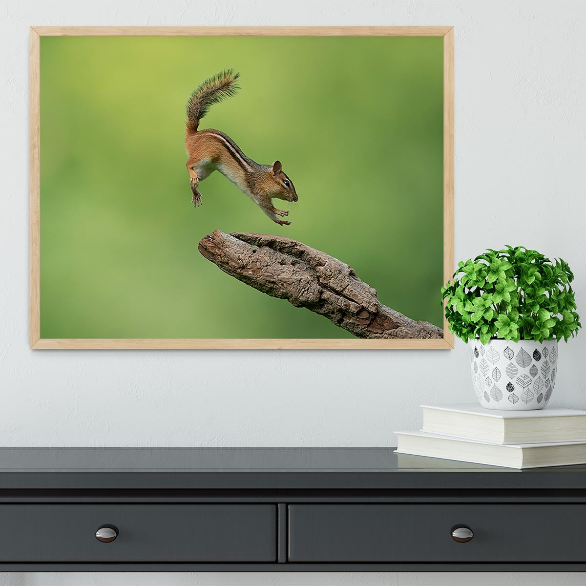 Squirell Leaping Framed Print - Canvas Art Rocks - 4