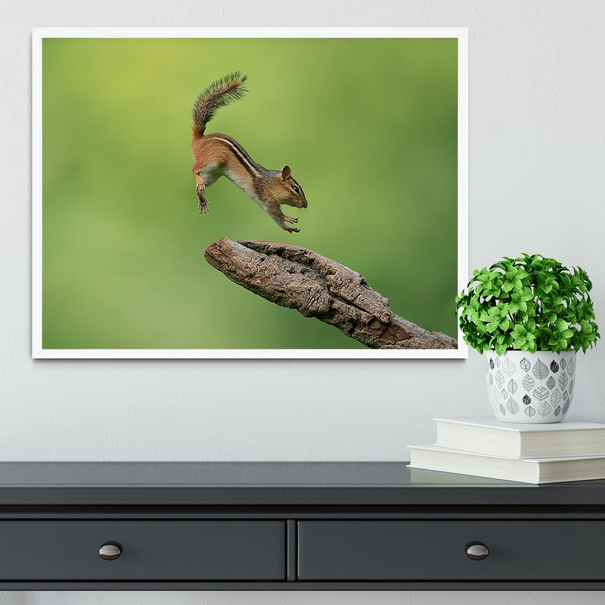 Squirell Leaping Framed Print - Canvas Art Rocks -6