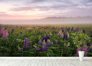 Lupines On A Foggy Day Wall Mural Wallpaper - Canvas Art Rocks - 4