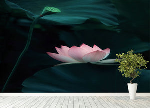 Lotus Flower Wall Mural Wallpaper - Canvas Art Rocks - 4