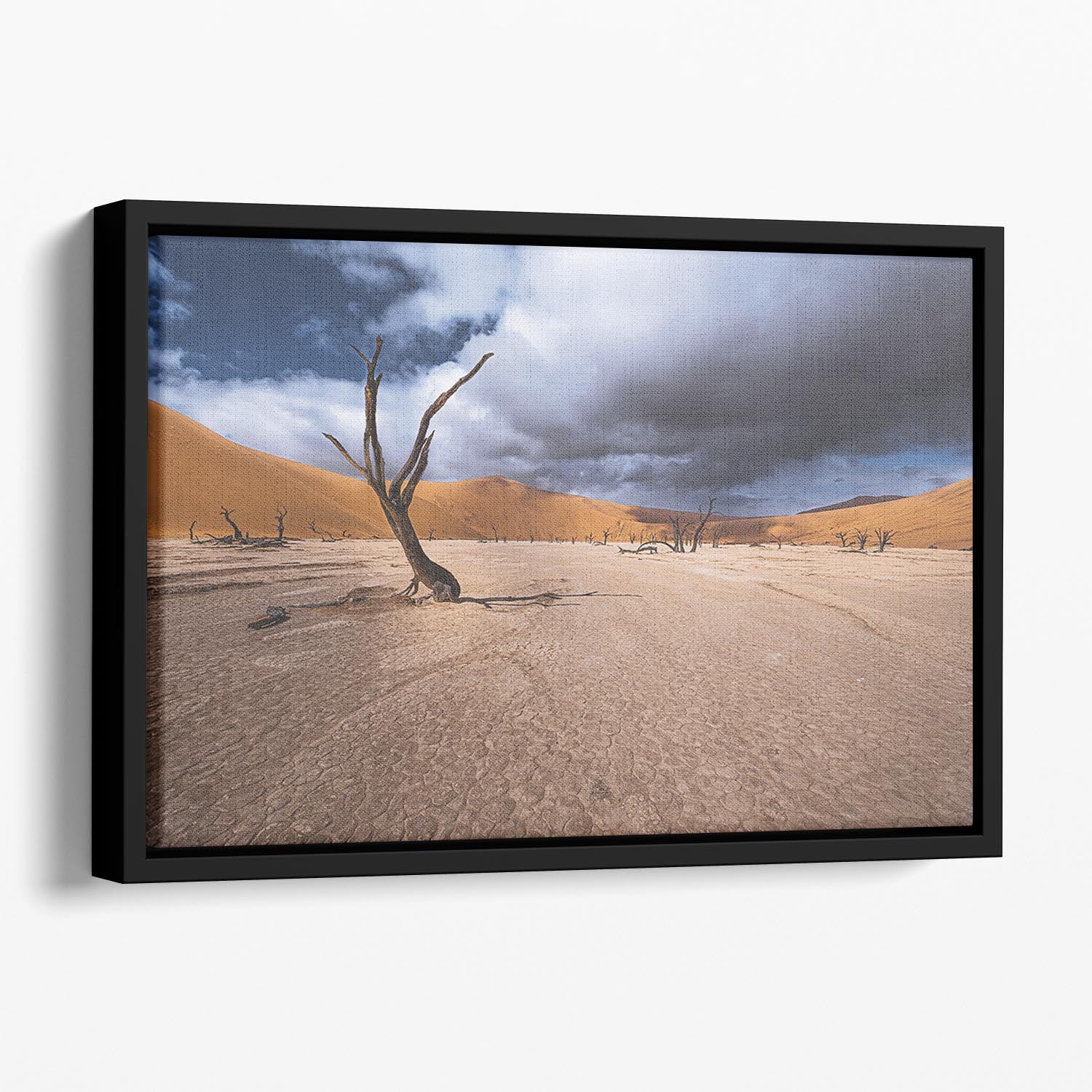 Deadvlei Desert Floating Framed Canvas - Canvas Art Rocks - 1