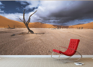 Deadvlei Desert Wall Mural Wallpaper - Canvas Art Rocks - 2