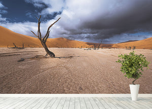 Deadvlei Desert Wall Mural Wallpaper - Canvas Art Rocks - 4