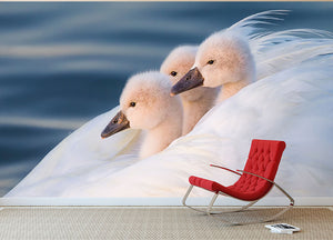 Three White Swans Wall Mural Wallpaper - Canvas Art Rocks - 2