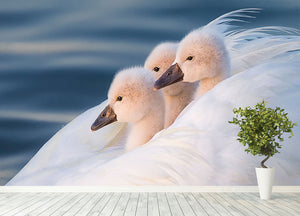 Three White Swans Wall Mural Wallpaper - Canvas Art Rocks - 4