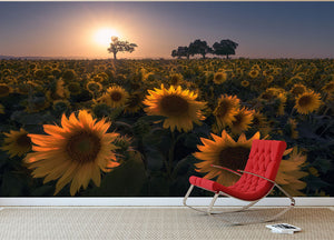 Sunflower Field Wall Mural Wallpaper - Canvas Art Rocks - 2