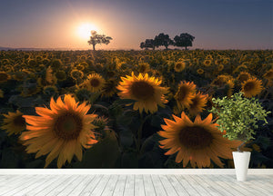 Sunflower Field Wall Mural Wallpaper - Canvas Art Rocks - 4