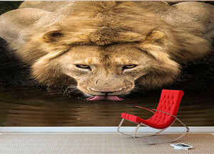 A Thirsty Lion Wall Mural Wallpaper - Canvas Art Rocks - 2