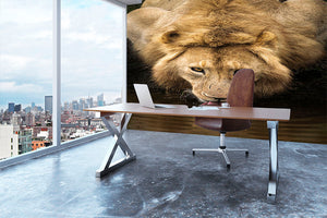 A Thirsty Lion Wall Mural Wallpaper - Canvas Art Rocks - 3