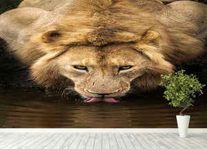 A Thirsty Lion Wall Mural Wallpaper - Canvas Art Rocks - 4