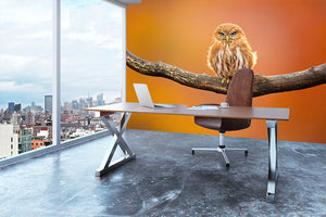 Orange Ferruginous Pygmy Owl Wall Mural Wallpaper - Canvas Art Rocks - 3