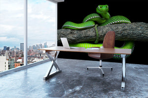 Green Trimeresurus Vogeli Snake Wall Mural Wallpaper - Canvas Art Rocks - 3