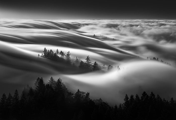 Clouds Above A Forest Wall Mural Wallpaper