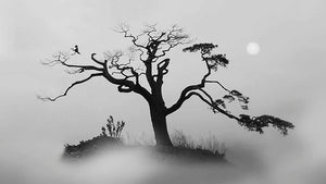 Pine tree In The Fog Wall Mural Wallpaper - Canvas Art Rocks - 1