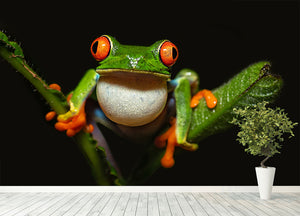 Red-eyed tree frog Wall Mural Wallpaper - Canvas Art Rocks - 4