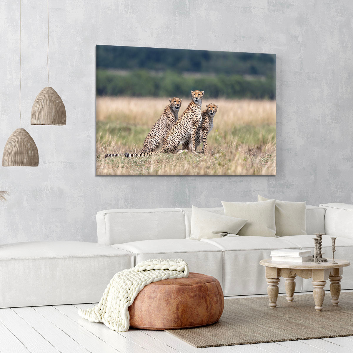 Three Cheetahs Canvas Print or Poster - Canvas Art Rocks - 6