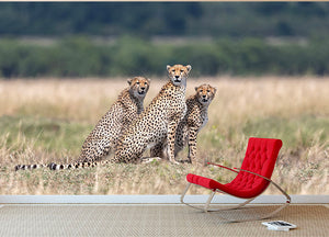 Three Cheetahs Wall Mural Wallpaper - Canvas Art Rocks - 2