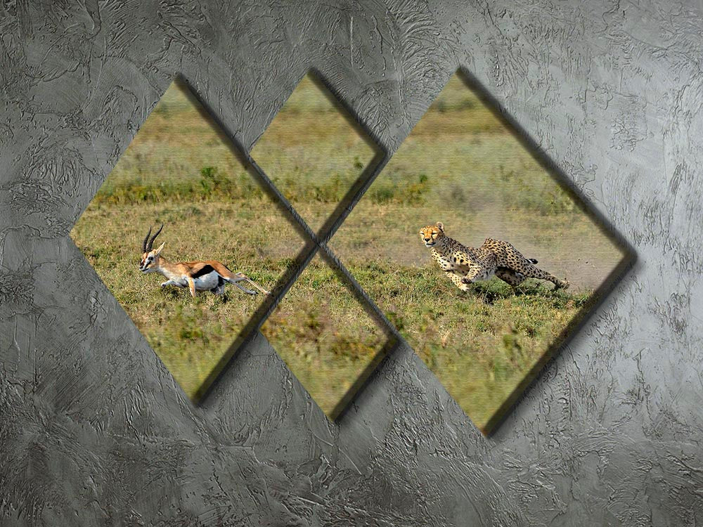 Cheetah Hunting 4 Square Multi Panel Canvas - Canvas Art Rocks - 2