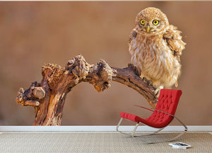 Little Owl On A Branch Wall Mural Wallpaper - Canvas Art Rocks - 2