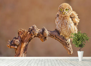 Little Owl On A Branch Wall Mural Wallpaper - Canvas Art Rocks - 4