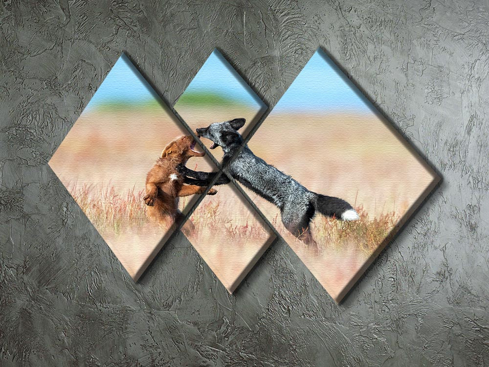 Two Foxes Wrestling 4 Square Multi Panel Canvas - Canvas Art Rocks - 2
