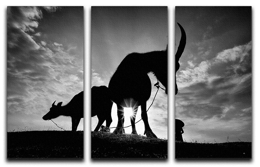 Herding Buffalos 3 Split Panel Canvas Print - Canvas Art Rocks - 1