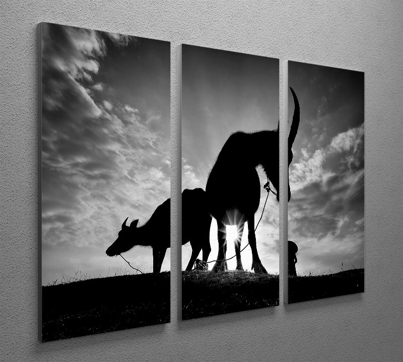 Herding Buffalos 3 Split Panel Canvas Print - Canvas Art Rocks - 2