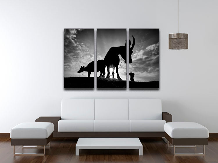 Herding Buffalos 3 Split Panel Canvas Print - Canvas Art Rocks - 3