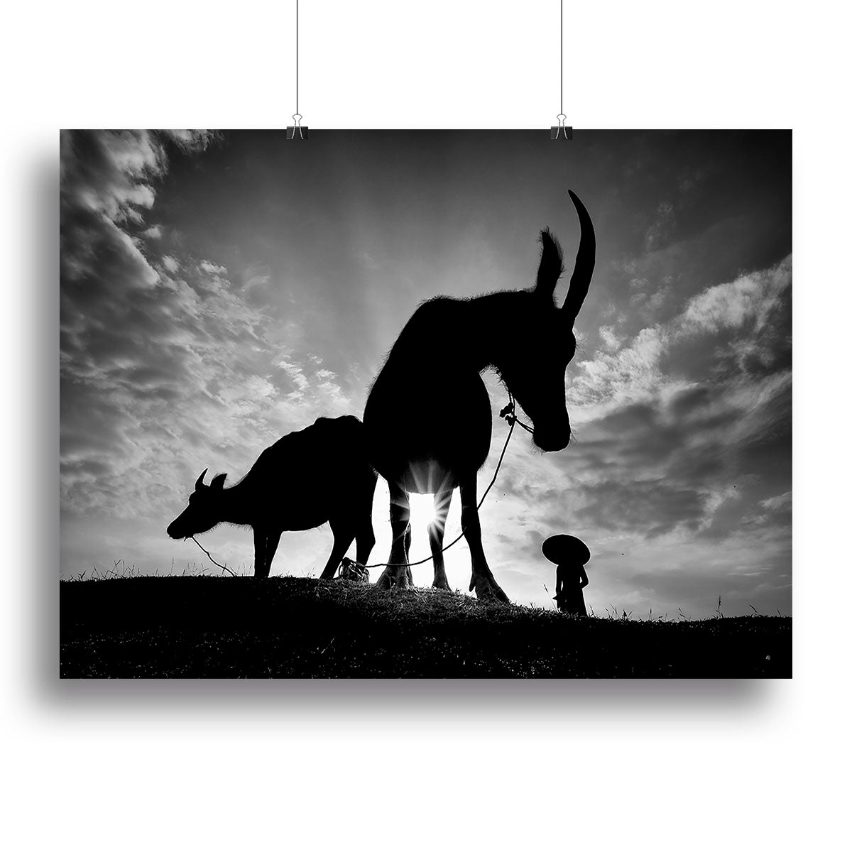 Herding Buffalos Canvas Print or Poster - Canvas Art Rocks - 2