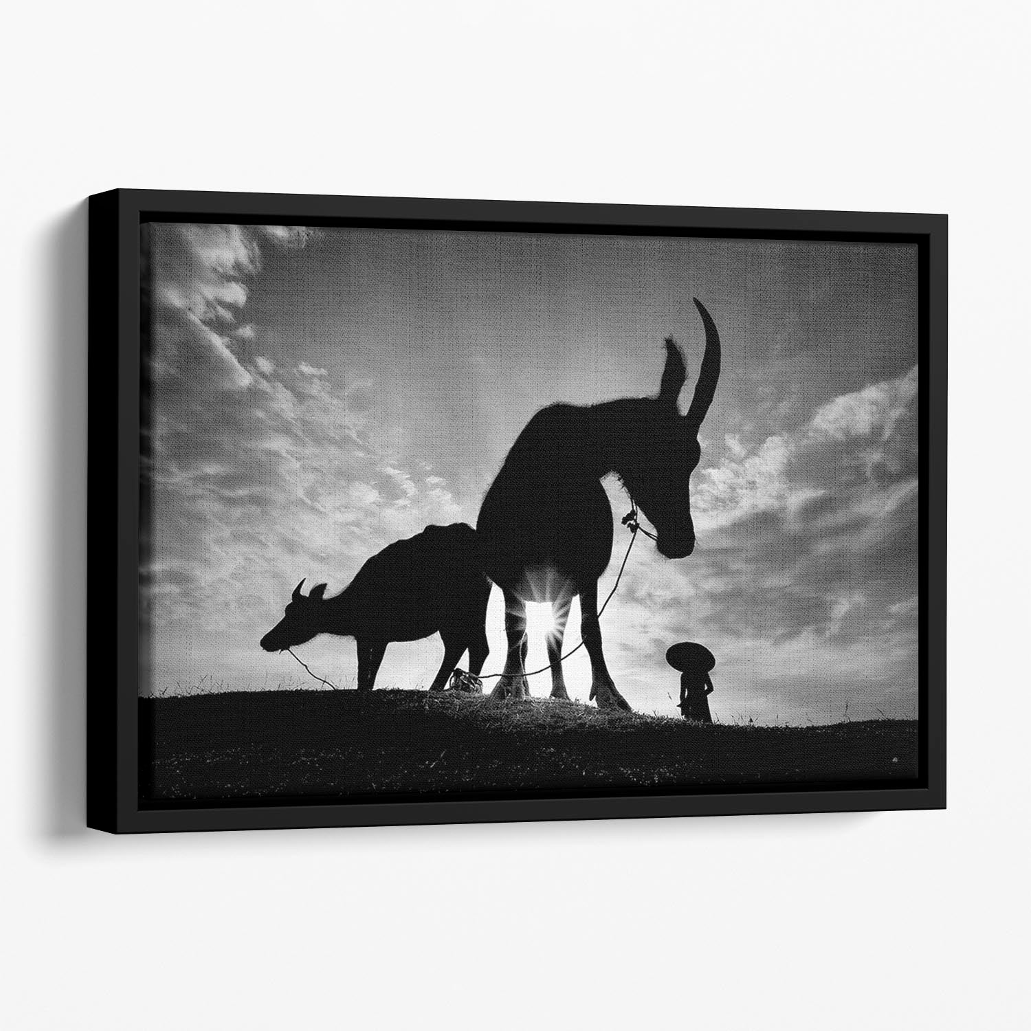 Herding Buffalos Floating Framed Canvas - Canvas Art Rocks - 1