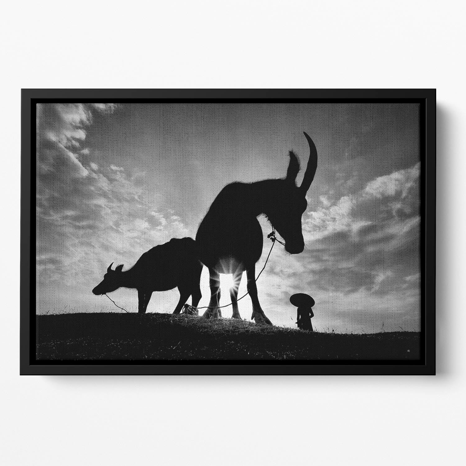 Herding Buffalos Floating Framed Canvas - Canvas Art Rocks - 2