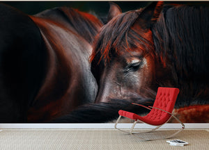 Horses Sleep In A Huddle Wall Mural Wallpaper - Canvas Art Rocks - 2