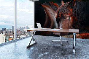 Horses Sleep In A Huddle Wall Mural Wallpaper - Canvas Art Rocks - 3