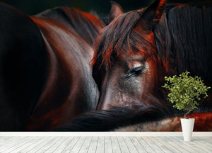 Horses Sleep In A Huddle Wall Mural Wallpaper - Canvas Art Rocks - 4