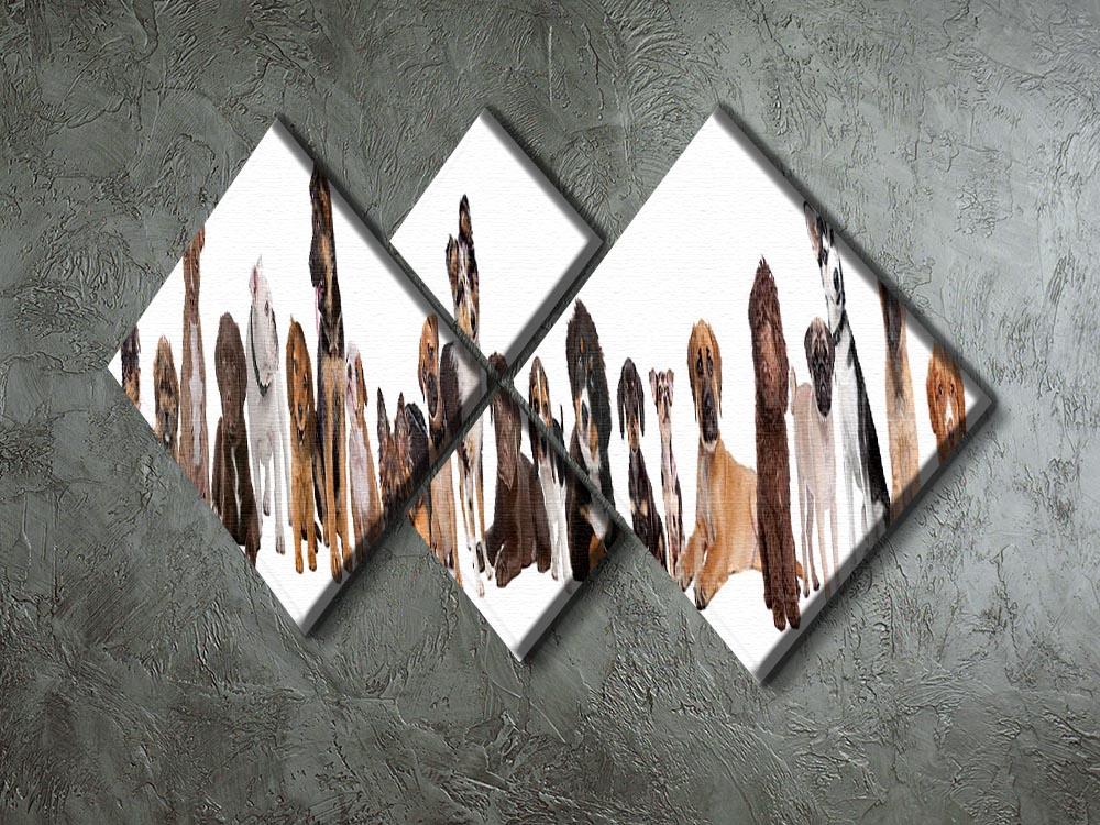 22 puppy dogs in a row in front of a white background 4 Square Multi Panel Canvas - Canvas Art Rocks - 2